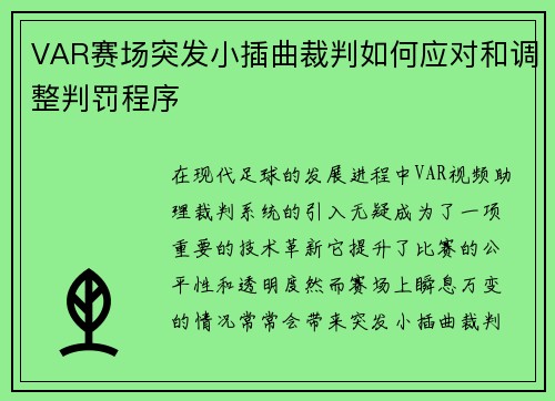 VAR赛场突发小插曲裁判如何应对和调整判罚程序