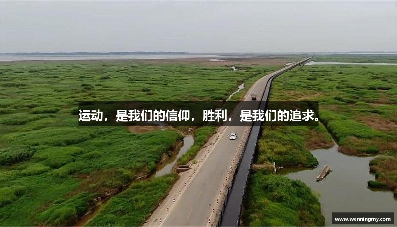 milan米兰运动，是我们的信仰，胜利，是我们的追求。